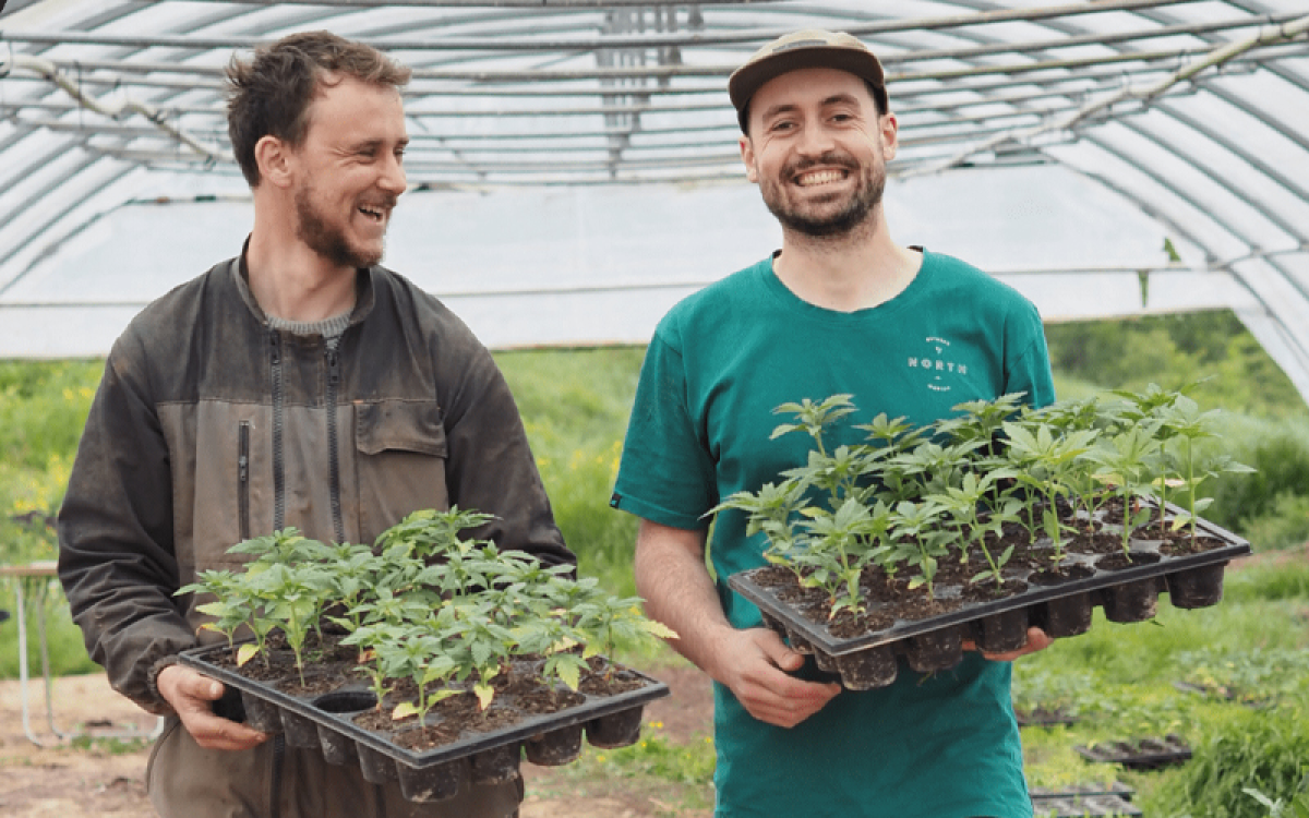 Les Chanvriers Normands (image 2)