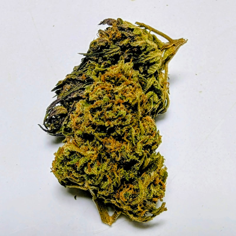 Produits terroir tarnais - (image 2)