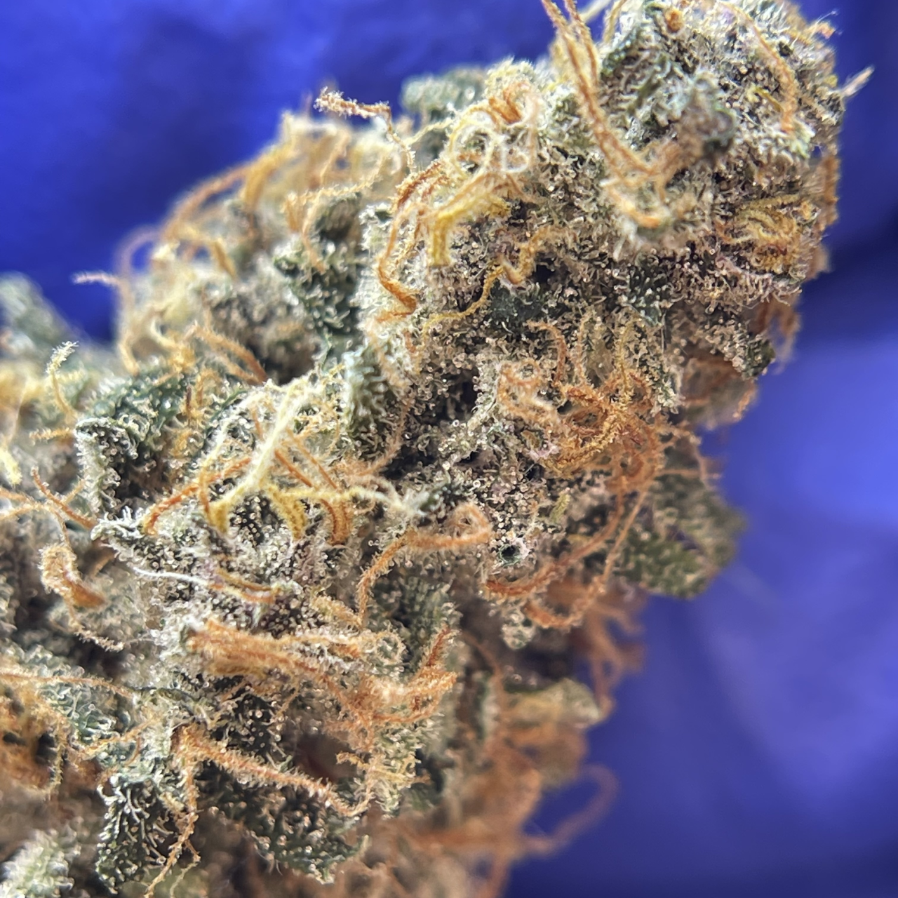 Sweet CBD France (image 4)