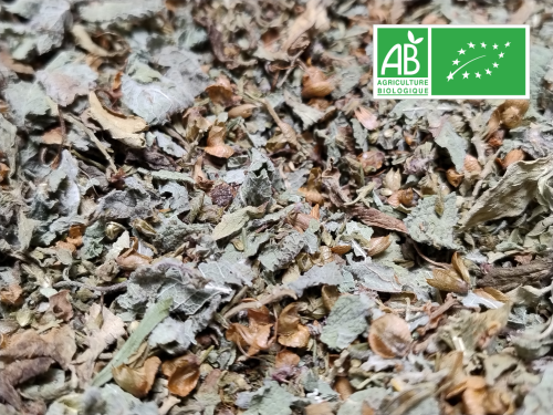 INFUSION BIO – Zeste Zen