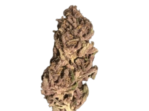 Platinium Legendary Og Kush